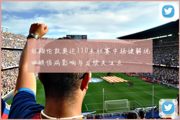 刘翔伦敦奥运110米栏赛中杨健解说回顾伤病影响与后续关注点