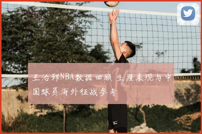 王治郅NBA数据回顾 生涯表现与中国球员海外征战参考