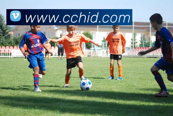 多媒体互动体验